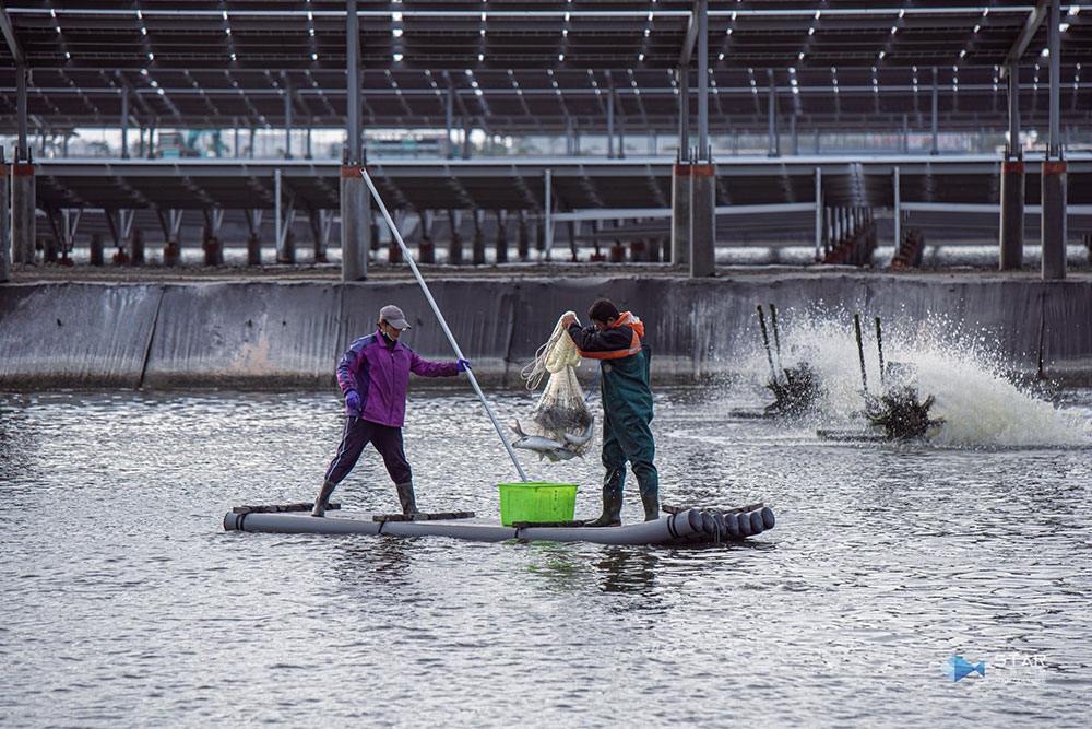 6684abad44240984938009